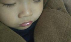 91李先生 直播,揭秘网红背后的故事与魅力