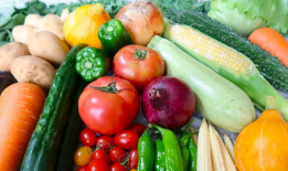 沈阳房产销售吃瓜爆料,吃瓜爆料背后的真相